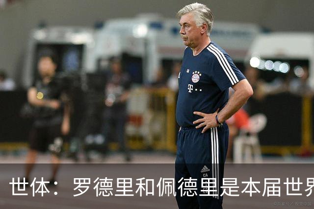 世体：罗德里和佩德里是本届世界杯最可靠的中场组合