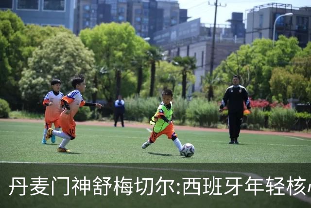 丹麦门神舒梅切尔:西班牙年轻核心群让他们“长期危险”