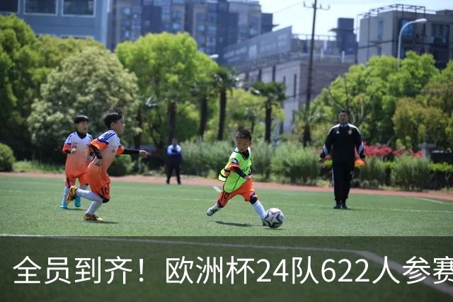 全员到齐！欧洲杯24队622人参赛名单出炉