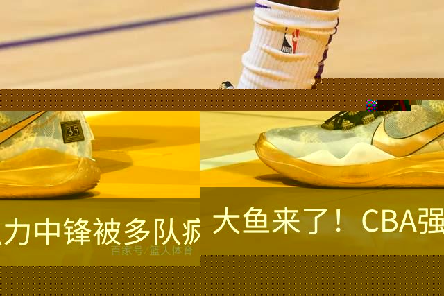 大鱼来了！CBA强力中锋被多队疯抢，或加盟广东队驰援杜锋？