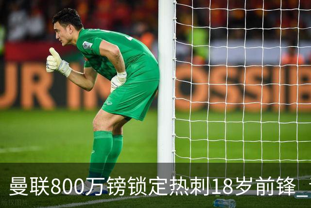 曼联800万镑锁定热刺18岁前锋 青年欧冠7场7球复制海文式签约