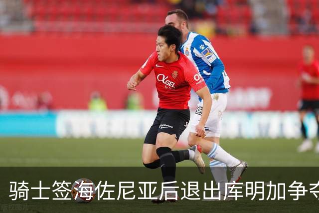 骑士签海佐尼亚后退出库明加争夺战 湖人成唯一追求者