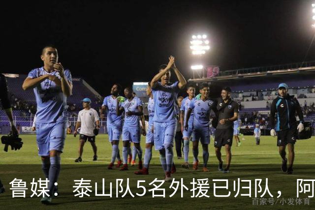 鲁媒：泰山队5名外援已归队，阿尔瓦罗6月份复出难度比较大