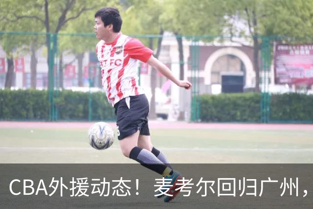 CBA外援动态！麦考尔回归广州，浙江签新外，青岛续米奇韦胖待定